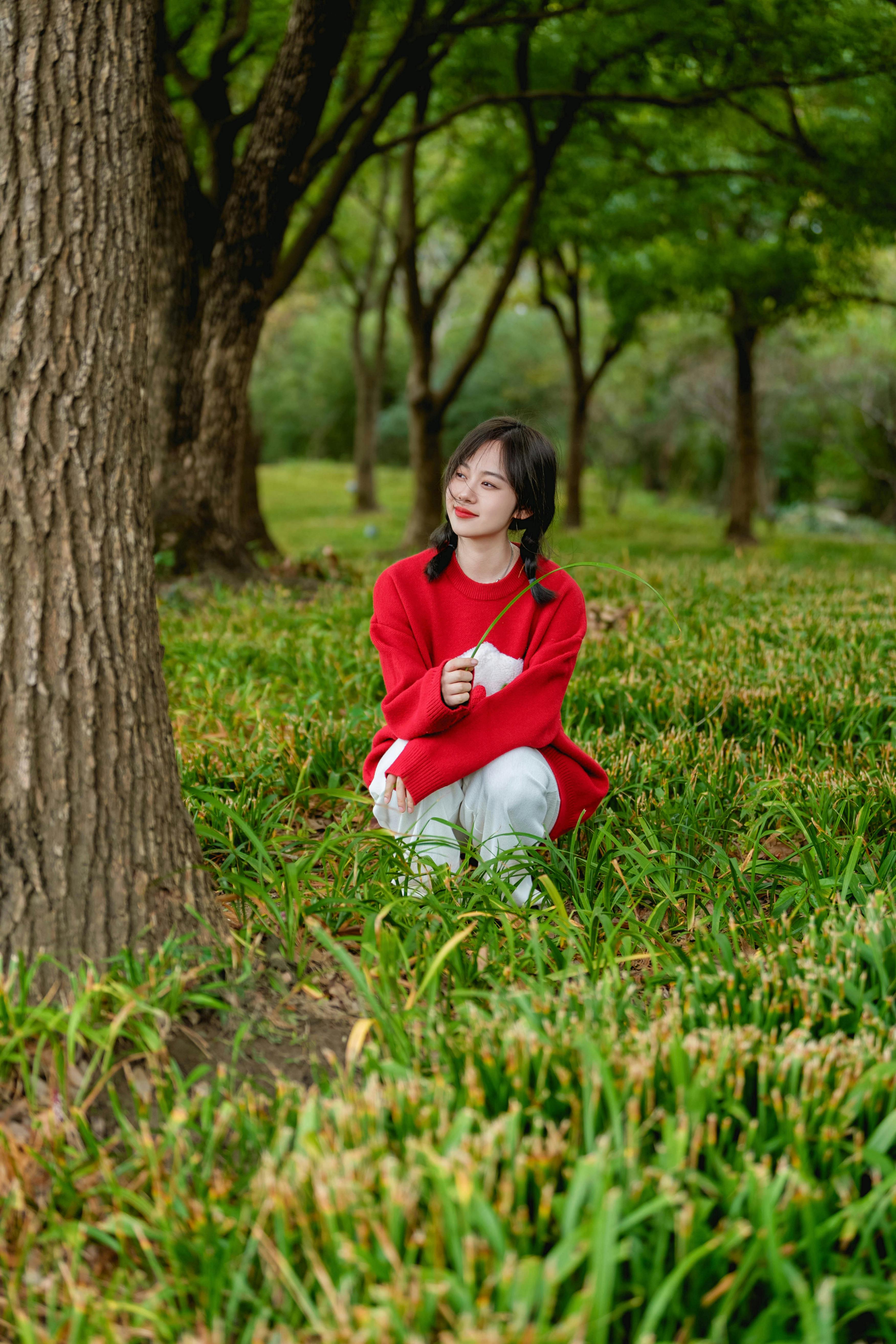 热门预览图：limoo