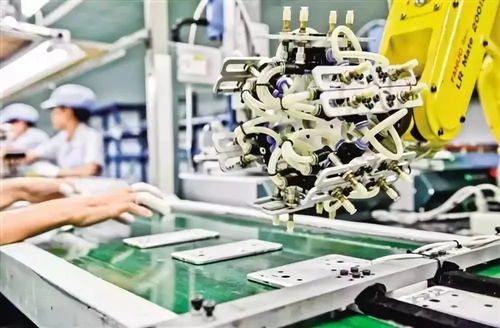 安妮影城——高清大片免费在线观看V.2026.02.15.8319截图5