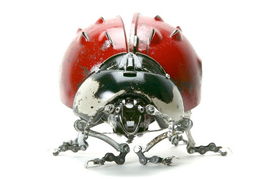 安妮影城——高清大片免费在线观看V.2026.02.15.8319截图3