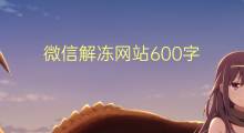 微信解冻网站600字(7篇)