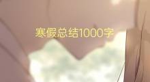寒假总结1000字(13篇)