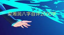 梁湘润八字自评2000字(7篇)