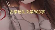 古筝招生文案800字(6篇)