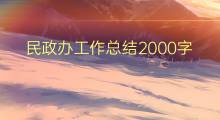 民政办工作总结2000字(9篇)
