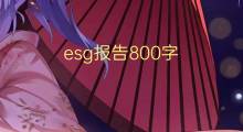 esg报告800字(11篇)