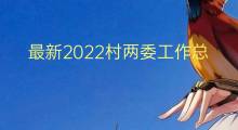 最新2022村两委工作总结报告800字(8篇)