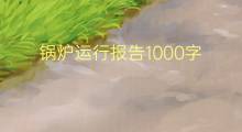 锅炉运行报告1000字(13篇)