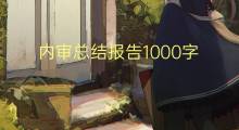 内审总结报告1000字(10篇)