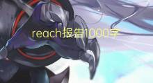 reach报告1000字(5篇)