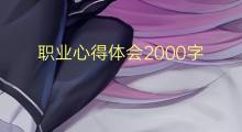 职业心得体会2000字(14篇)