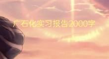 广石化实习报告2000字(6篇)