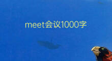 meet会议1000字(7篇)