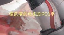 谭凯演的电视剧900字(6篇)
