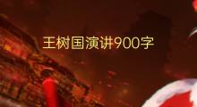 王树国演讲900字(5篇)