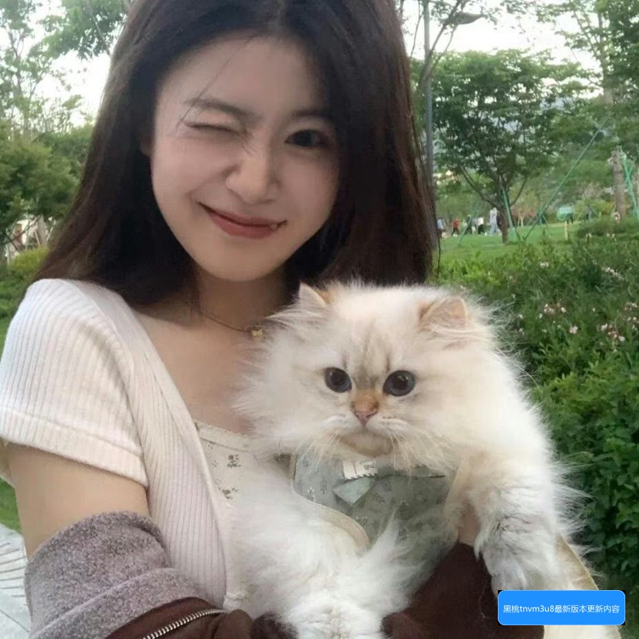 黑桃tnvm3u8最新版本有哪些更新内容及使用优化说明