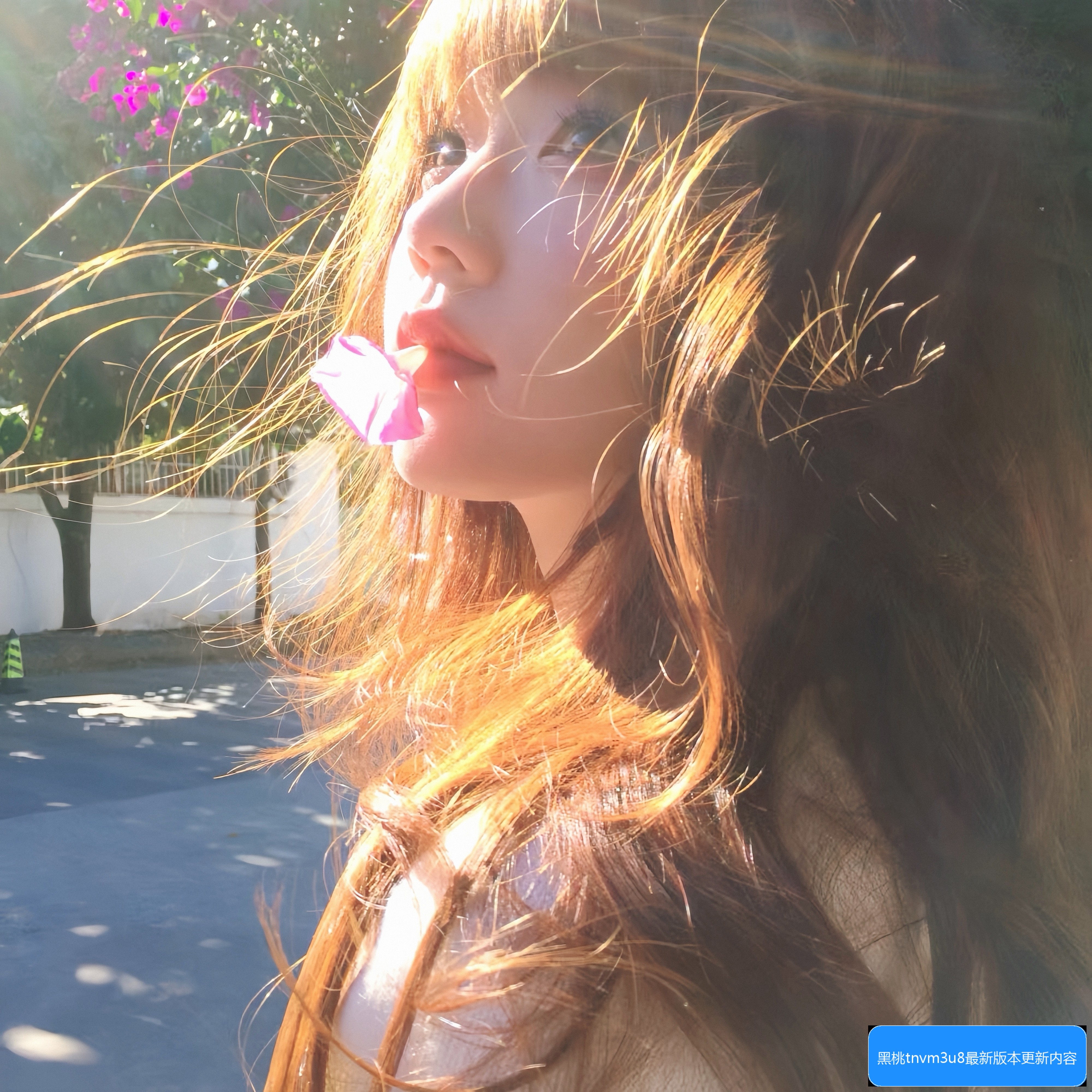 黑桃tnvm3u8官网提供免费资源可靠吗？如何安全在线观看黑桃赛事直播