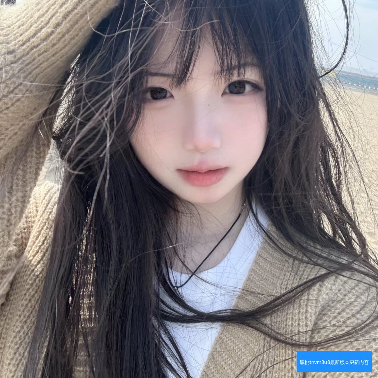 黑桃tnvm3u8最新版本有哪些更新内容及其功能改进介绍